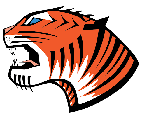 Tiger Granite and Marble Logo